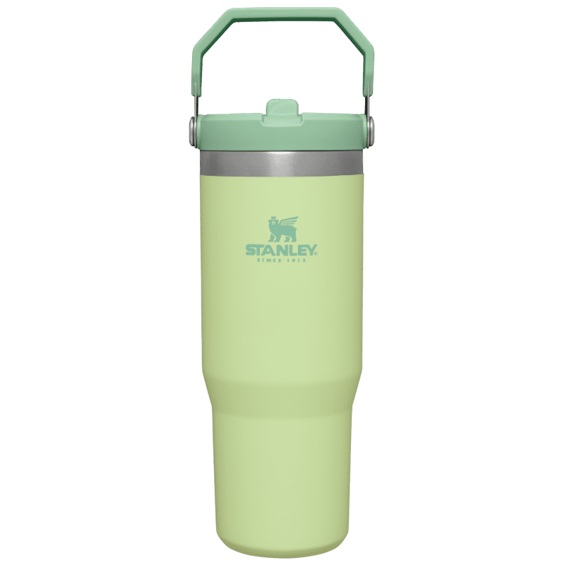 B2B Web PNG Stan The IceFlow Flip Straw Tumbler 30OZ Citron Front 050ac1b0 d474 41f8 85a0 4fd92bbfbdec