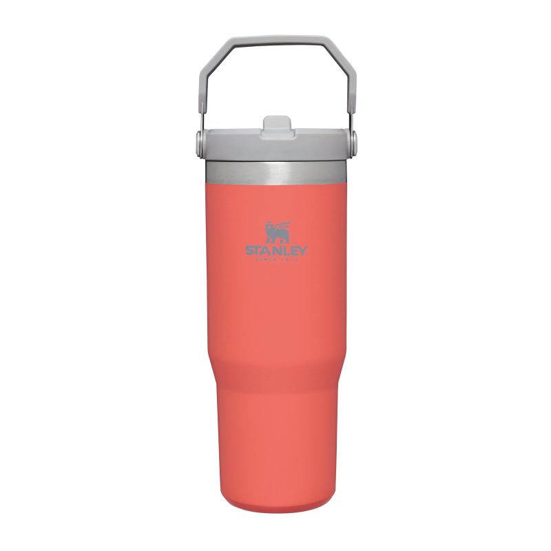 TheIceFlow FlipStrawTumbler Guava 0.89L Front